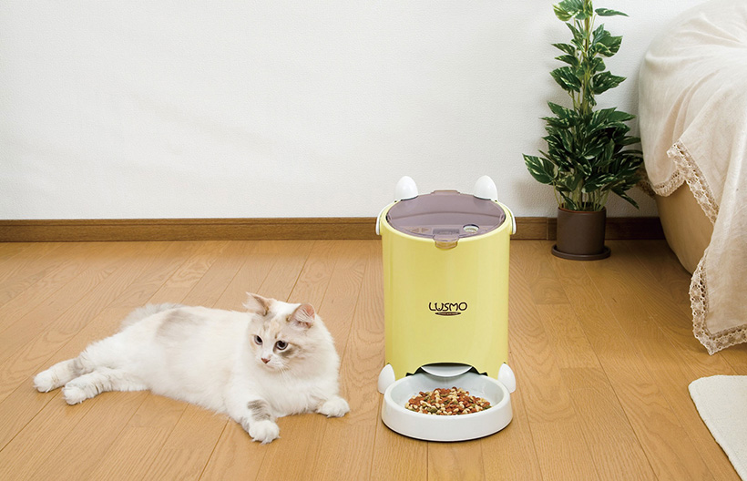 分単位のオート給餌器や声かけ可能なカメラも登場！にゃんこのオススメ「留守番グッズ」5選