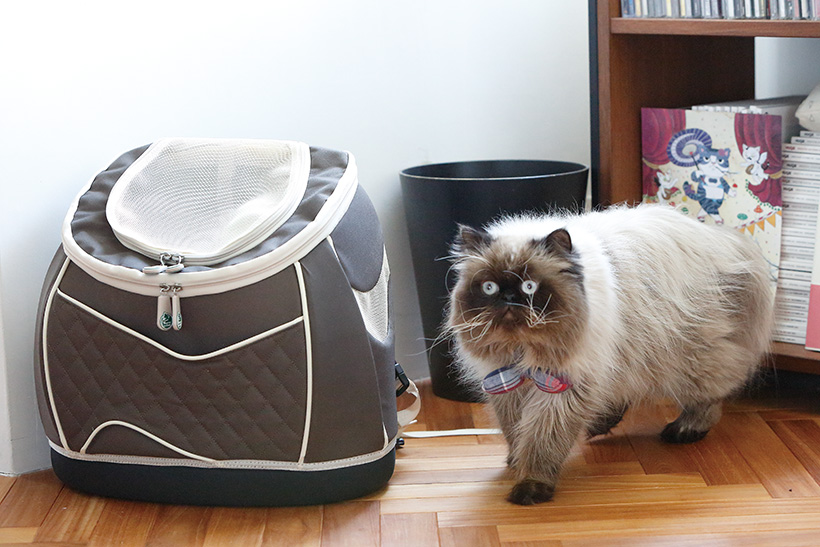 猫とのおでかけが楽しい! オシャレで機能的なにゃんこの「キャリー」セレクション