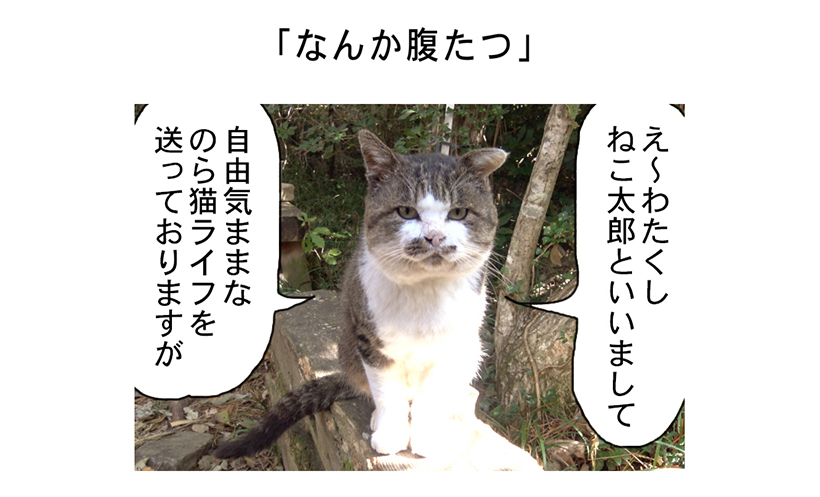 連載マンガ「田代島便り 出張版」 第1回「なんか腹たつ」