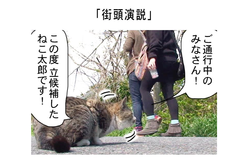 連載マンガ「田代島便り 出張版」 第2回「街頭演説」