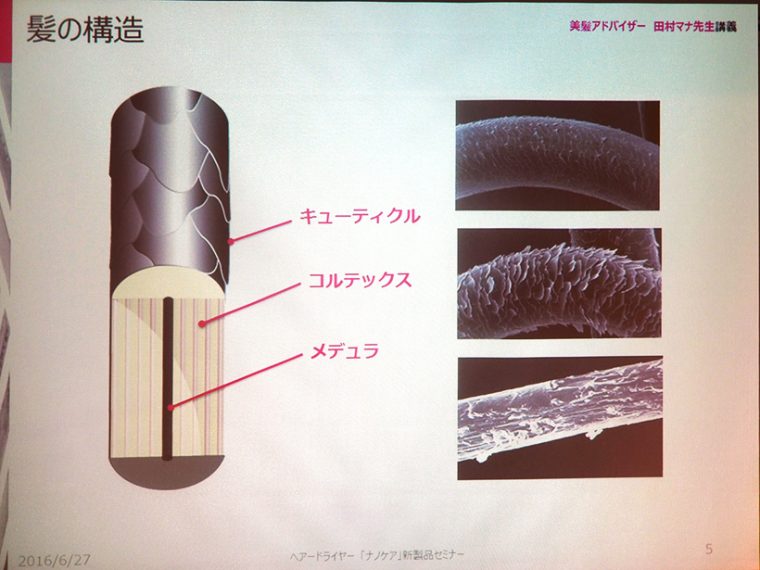 ↑会場ではダメージを受けたキューティクルの拡大写真も登場。健康だとツルっとした表面ですが、ダメージを受けると毛羽立ち、最終的にはキューティクルがなくなってしまいます