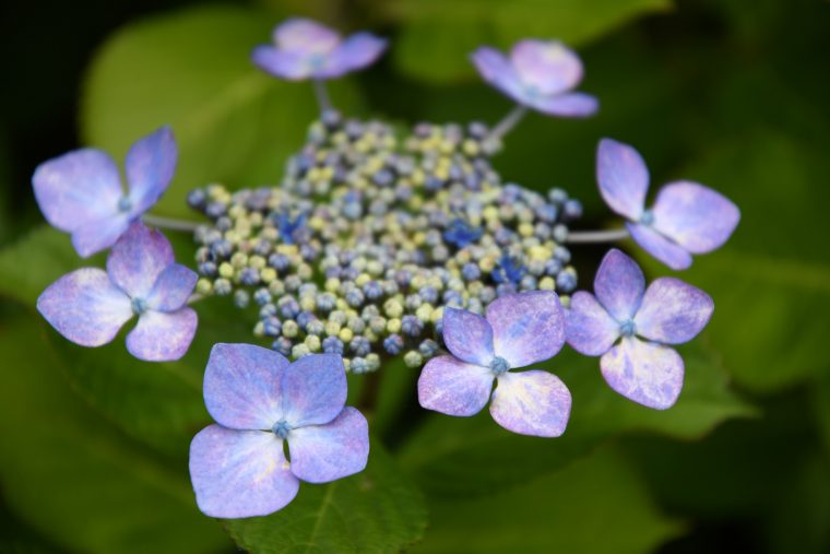 20160708-i05 (8)
