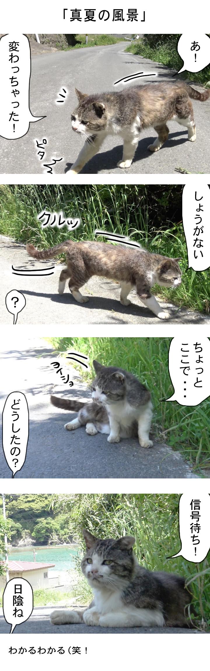 20160712-mn01 (2)