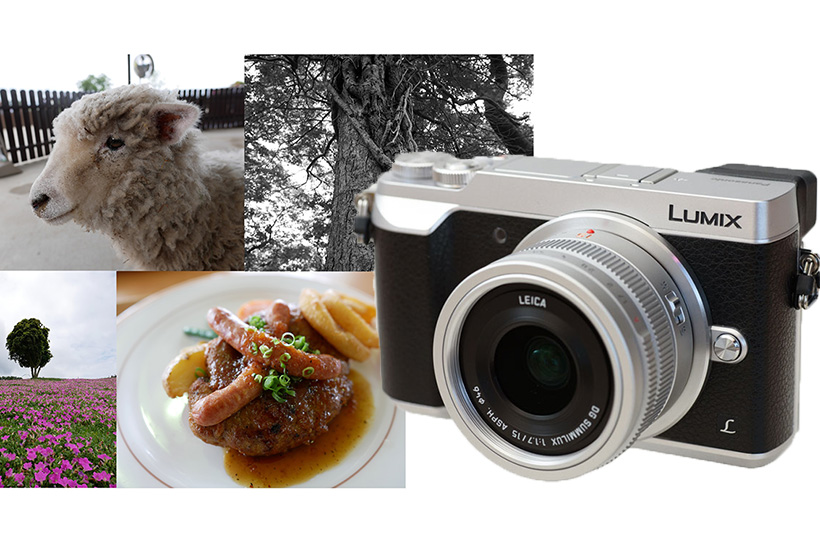 軽快に撮れて高画質! やっぱり最強の“お散歩カメラ”だったパナソニック「GX7 Mark II」