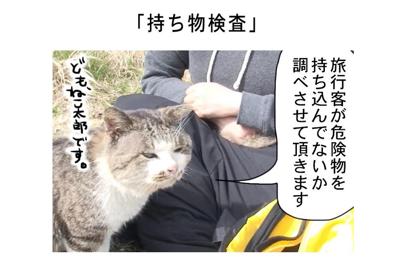 連載マンガ「田代島便り 出張版」 第4回「持ち物検査」