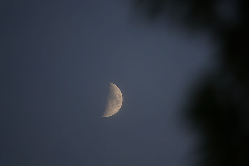 20160720-i06 (8)