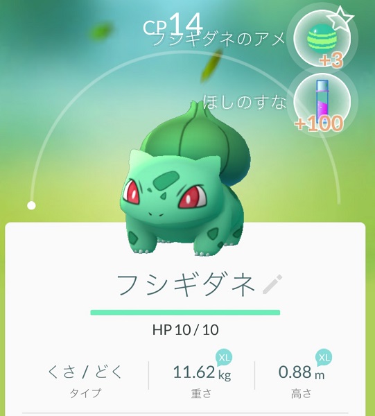 ↑ポケモンを育てたり集めたりと楽しみ方は色々