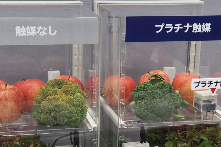 プラチナ触媒のある環境とない環境で1週間保存したブロッコリーの状態を比較します。ブロッコリーのまわりには、野菜を老化させる「エチレンガス」を発生しやすいリンゴを配置。触媒なしのブロッコリーは茶色く変色してしまっています