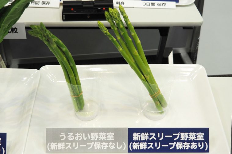 ↑新モデルは野菜庫のすべてのエリアで新鮮スリープ保存ができます。上段スペースで保存したしそ、下段スペースの小松菜、たて収納のアスパラガスを、それぞれ新鮮スリープ保存していない野菜と比較してみました。いずれも新鮮スリープ保存した野菜のほうがシャッキリと新鮮です