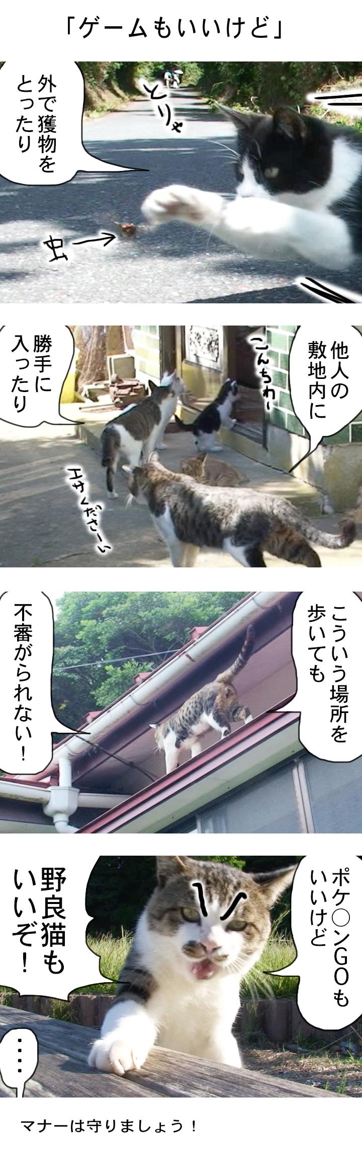 20160726-mn01 (1)