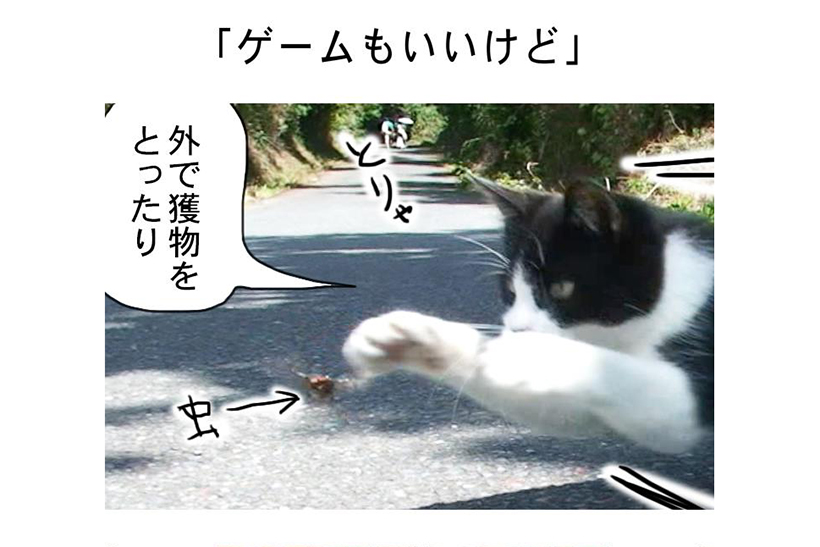 連載マンガ「田代島便り 出張版」 第5回「ゲームもいいけど」
