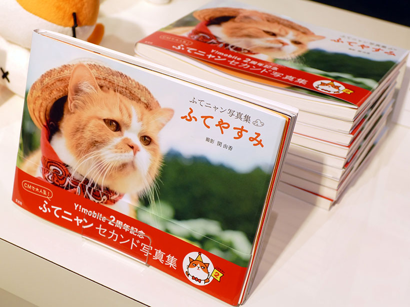 ↑ふてニャンのセカンド写真集「ふてニャン写真集 ふてやすみ」が8月19日より全国の書店で発売される予定。価格は1404円