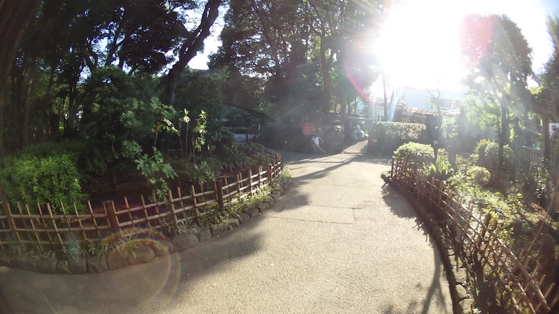 20160725_Y09