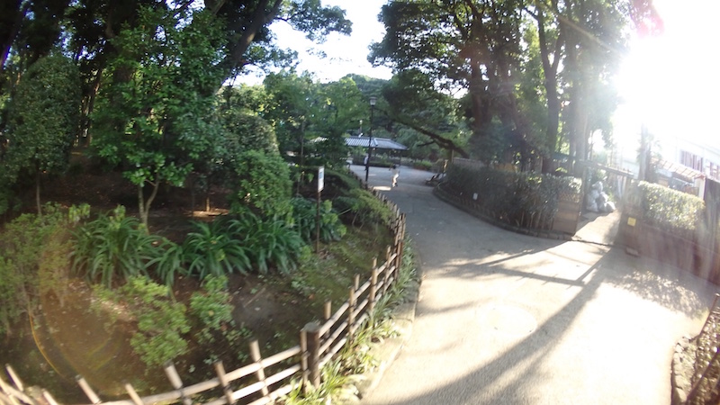 20160725_Y10
