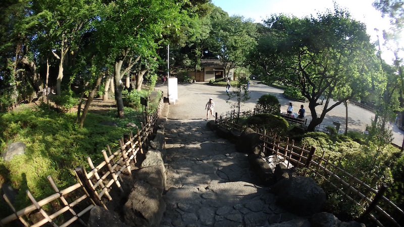 20160725_Y12