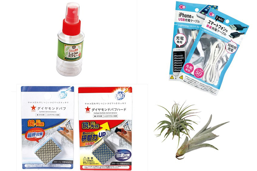 【100円ショップ傑作選】ダイソー／Can★Doの人気アイテム聞いちゃいました! エアープランツやあの充電ケーブルも大人気!