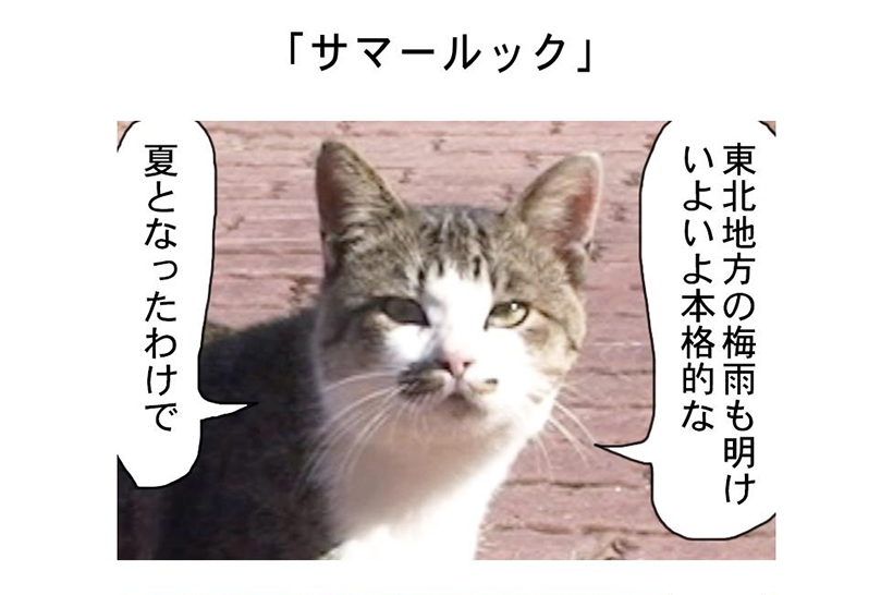 連載マンガ「田代島便り 出張版」 第6回「サマールック」