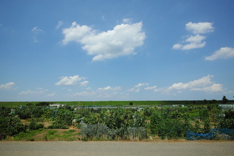 21mm相当 ISO100 F10 1/250秒 風景