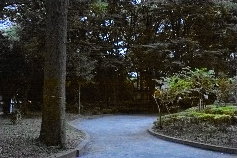 45mm相当 ISO6400 F4 1/60秒 スタンダード