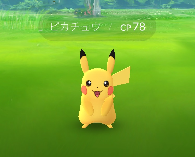 ↑いきなり出た~