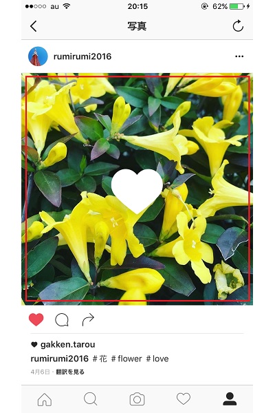 ↑シェアされた写真をダブルタップすると「いいね!」がつきます