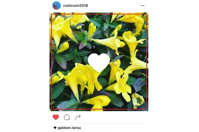 【インスタグラム使い方講座】自身にもいいことたくさん! 「いいね！」使いこなしの小技