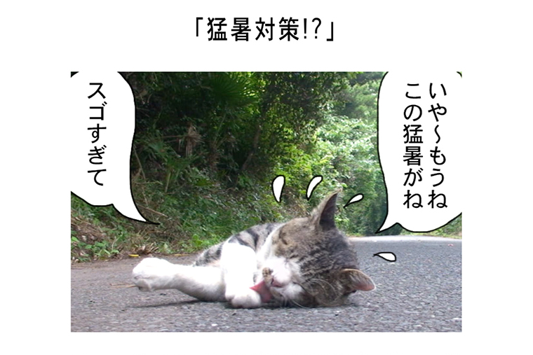 連載マンガ「田代島便り 出張版」 第7回「猛暑対策!?」