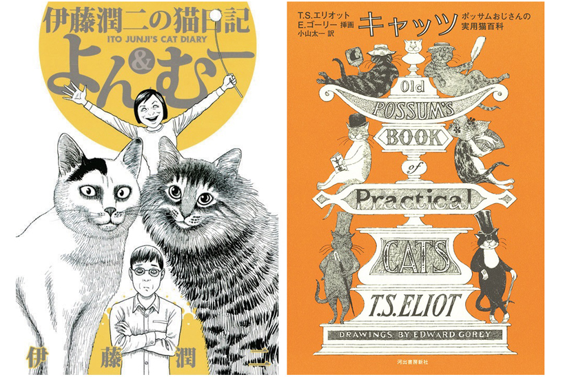 ホラーマンガ家のエッセイや超有名ミュージカルの原作も! 猫への愛情を綴った「猫本」まとめ【前編】