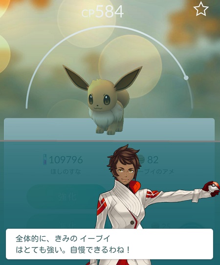 ↑3匹めは、CP的にはほぼ1匹めと変わらないのですが、結果はかなり良さ気です。進化させるならこのイーブイがベストのようです