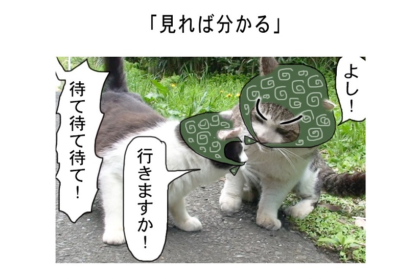連載マンガ「田代島便り 出張版」 第10回「見れば分かる」