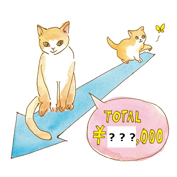 猫ちゃん一匹を飼ったらトータルいくら?  覚えておきたいにゃんこの基礎知識【お金編】