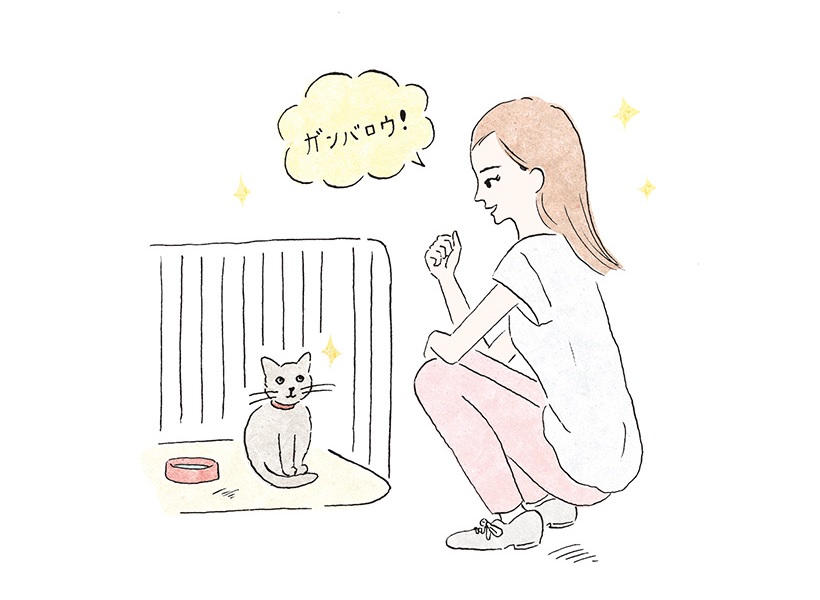 猫と被災したらどうする? 飼い主が知っておくべき5つの鉄則