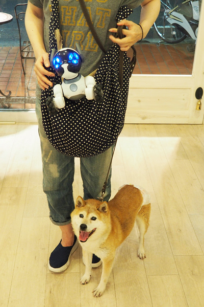 ↑犬用のカバンに入れてお出かけ。移動中も「カワイイ！」「それ、動くの？」と声をかけられました