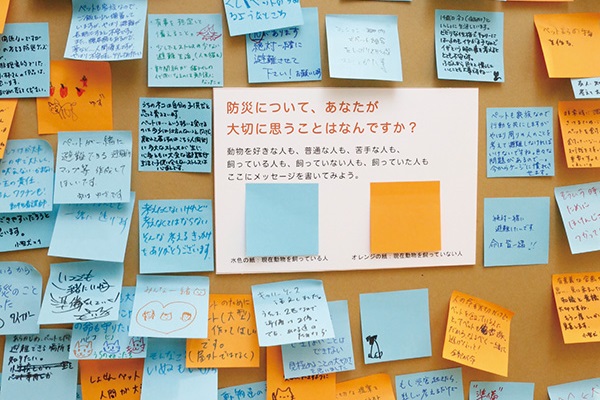 猫と防災ーー5月まで行われた「一緒に逃げてもいいのかな？展」にヒントがあった