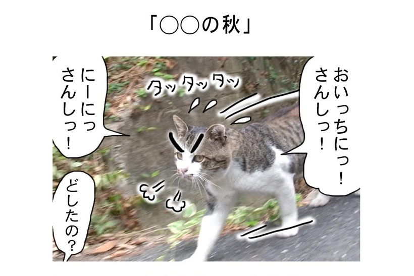 連載マンガ「田代島便り 出張版」 第12回「○○の秋」