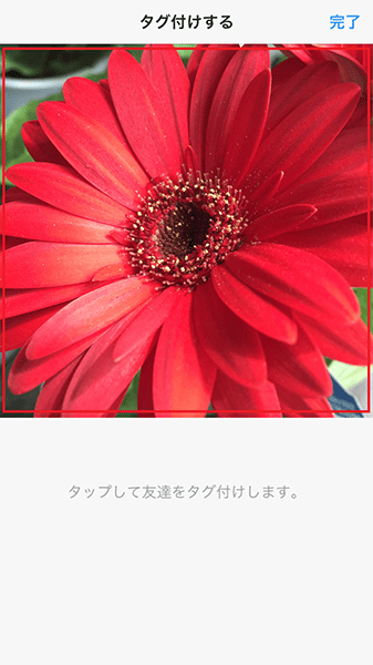 ↑タグ付けしたい位置をタップ