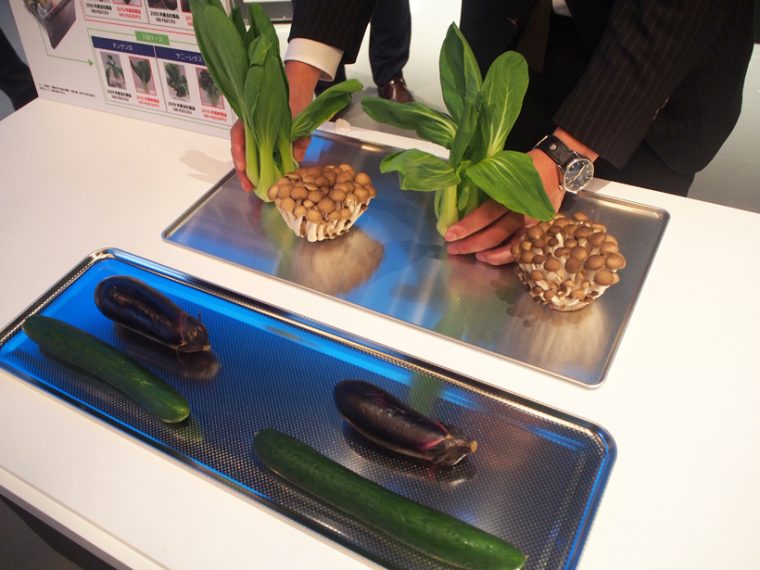 ↑2009年モデルの野菜室で1週間保存したもの(写真右)と比較すると、葉野菜の違いは歴然。ほかの野菜も水分が抜け、しなしなになっていました