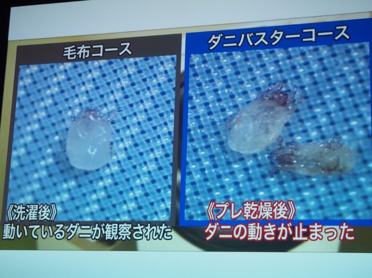 ↑通常の毛布コースで洗濯した後もダニは動いていますが、ダニバスターコースでプレ乾燥したものは、動きが止まっています。これはつまり……