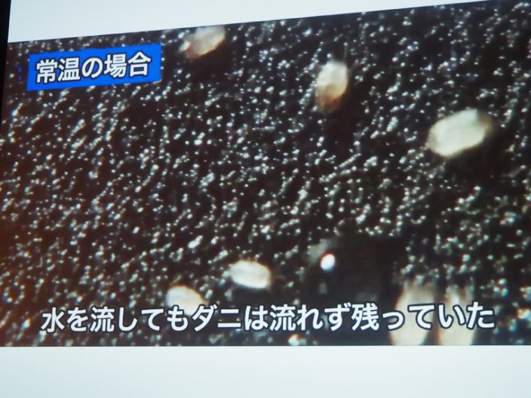 ↑常温で生きたダニに水をかけても、ダニは流れません