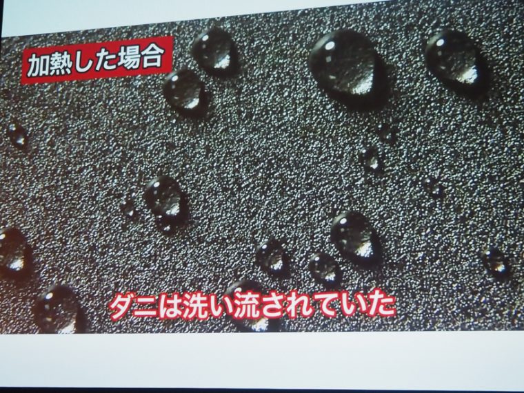 ↑ダニを50℃に加熱した後、水をかけると、跡形もなく流れ去りました