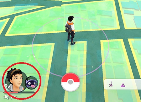 ↑フィールドマップのトレーナーの顔アイコンの脇に相棒ポケモンが表示されます