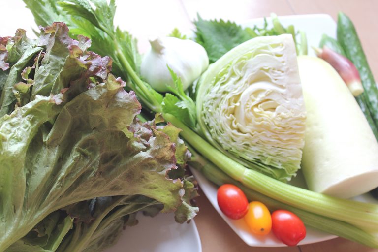 ↑せん切り野菜はきゅうり、セロリ、キャベツ、大根など。みょうがやシソをアクセントにして、大きくちぎったサニーレタスに入れる野菜たっぷりの野菜巻