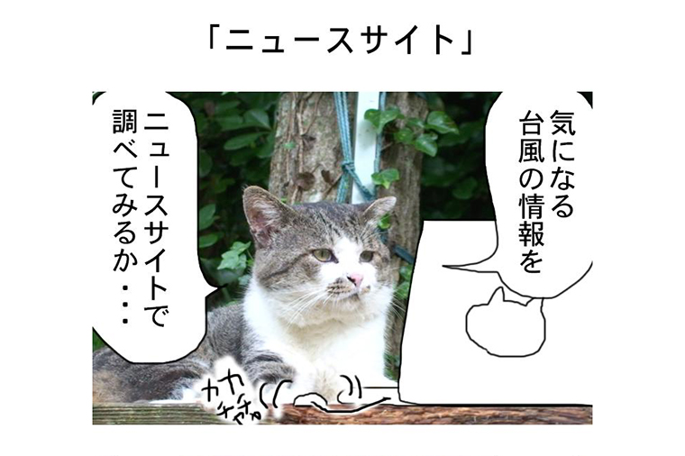 連載マンガ「田代島便り 出張版」 第13回「ニュースサイト」