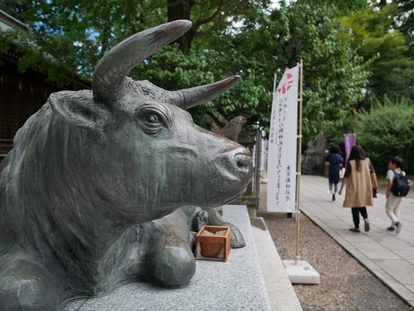 GX7-2sakurei