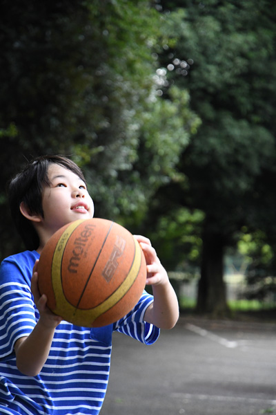 d500sakurei