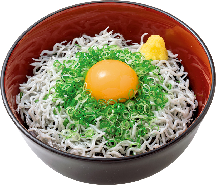 ↑写真では伝わりにくいが、しらす一つ一つには目もついているしらす丼