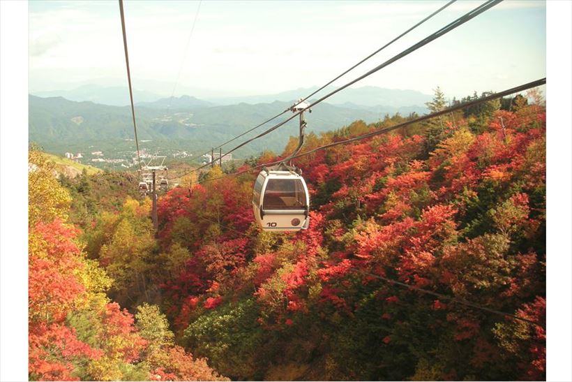ロープウェイからの紅葉狩りは格別! 動く展望台のように絶景を楽しめるロープウェイ3選