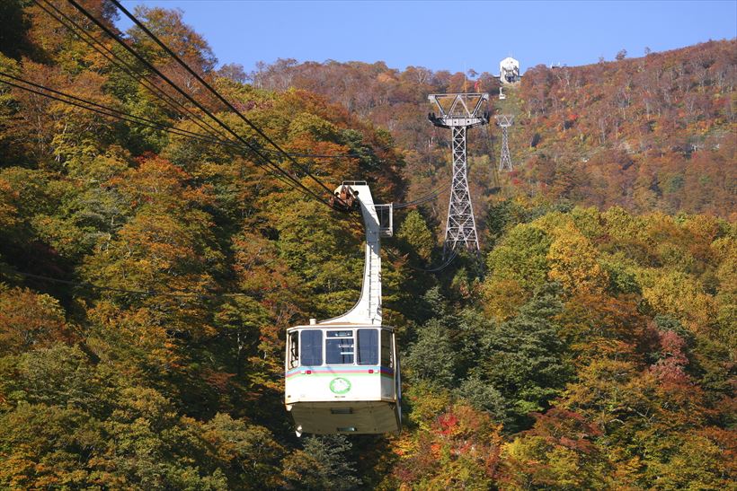 20161005_y-koba7_02田代ＲＷ紅葉写真1_R