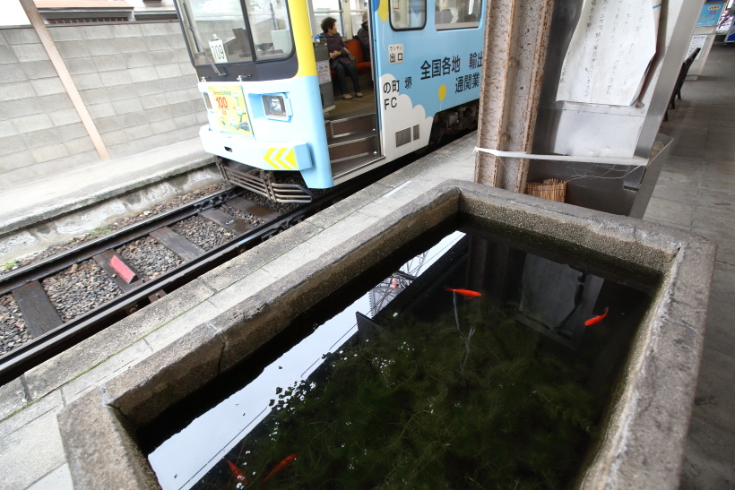 ↑廃止された住吉公園駅のホームには水槽があり、金魚が飼われていた。なんとも不思議な光景だった。