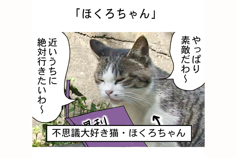 連載マンガ「田代島便り 出張版」 第15回「ほくろちゃん」